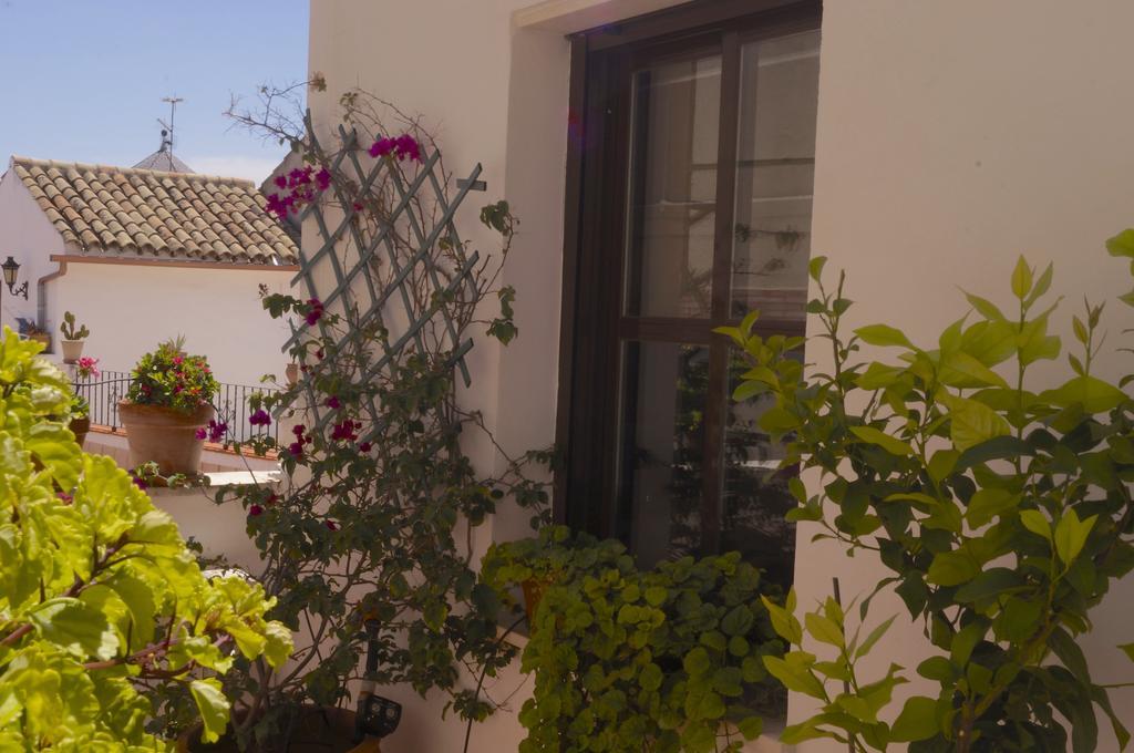 Penthouse Puerta De La Juderia Apartman Córdoba Kültér fotó